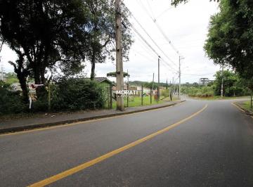 Terreno em São José dos Pinhais - Roseira de São Sebastião (TE0034) · Terreno em São José dos Pinhais