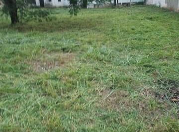 Rural · 1500m² · 1 Quarto · 1 Vaga · CHÁCARA - B. UIRAPURU - COSMOPOLIS