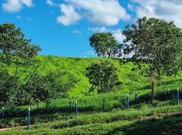 Rural de 4 quartos, Padre Bernardo · FAZENDA DE 54 ALQUERES TODA FORMADA COM VÁRIAS DIVISÕES E SEDE COMPLETA !!
