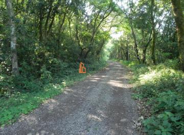 Rural · 8ha · ÓTIMA ÁREA DE TERRA RURAL C/7,6 ha, PRÓXIMO A COMUNIDADE NOSSA SENHORA DOS NAVEG