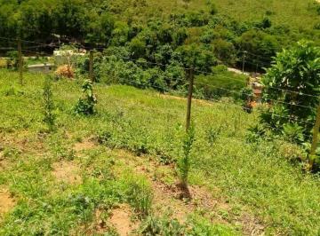 Terreno 600m² Venda Linhares · Terreno Com 277m² no Granjeamento Florecer, Linhares R$ 85mil