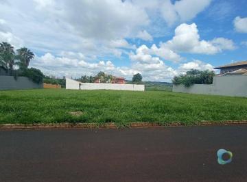 ROYAL PARK · Terreno à venda, 871 m² por R$ 985.000,00 - Royal Park - Ribeirão Preto/SP