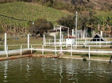 50e67078364cb2aab40c0c469af0bc0922eb07f5 · Chácara com 10 dormitórios à venda, 3300 m² por R$ 1.200.000,00 - Zona Rural - São José do Alegre/MG