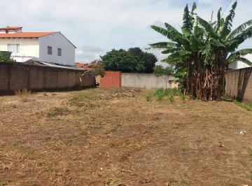 Terreno , Gama · Vendo lote 807,00m2 - PONTE ALTA NORTE!!!