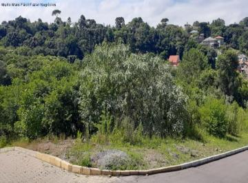 Foto 01 · Terreno, Logradouro, Nova Petrópolis, RS
