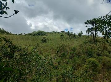 Rural , São José dos Pinhais · Vende se Chácara na Estrada Morro Do Meio - São José Dos Pinhais - 34.653,42m²