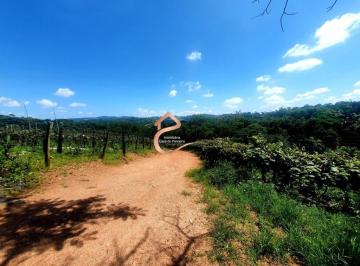 Foto 01 · SITIO A VENDA COM 22.000m² NO BAIRRO ENGENHO SECO NA CIDADE DE LOUVEIRA, SP