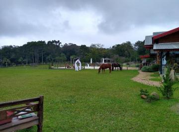 2022/07/de6c576c5dbbdbfa5a7e165c54a66342.jpg · RURAL - LINHA 28