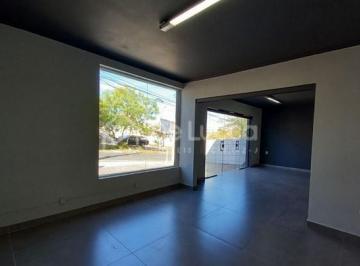 0 · casa para aluguel em Jardim Conceição
