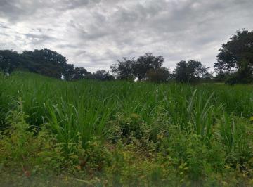 Foto · Fazenda, Riacho, Esmeraldas, MG