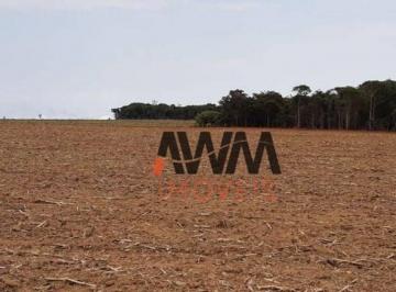 5240b4d25845a7f6f59ff96e41ef6a20c6e50a6f · Fazenda com 2 dormitórios à venda, 387200 m² por R$ 4.000.000,00 - Zona Rural - Americano do Brasil/