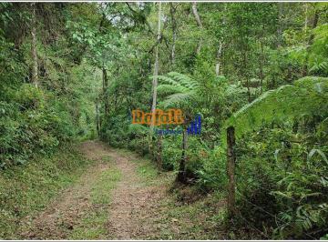 2ufsfpy2ntnjmwninwrhmda2_md · Sítio linda vista e reservado para Venda - Santa Izabel, Águas Mornas - 5000m²
