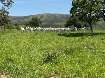 Rural , Cocalzinho de Goiás · Fazenda de 168 alqueires goianos. (813 hectares).
