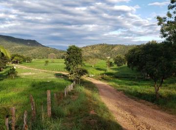Rural de 3 quartos, Niquelândia · VENDO LINDA FAZENDA NO MUNICÍPIO DE NIQUELÂNDIA TODA FORMADA 98150-8787