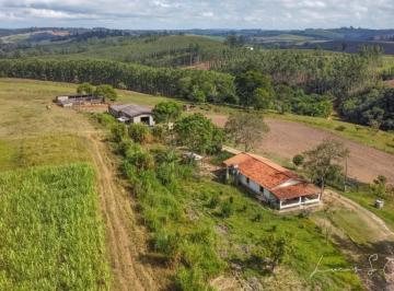 Foto 01 · Sítio 10 Alqueires, Porteira Fechada, Dois Trator, 40 Cabeça de Búfalo, 2 Casas, 1 Barracão, Três Es