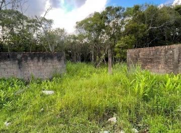 a1bd4beccc7f691421401a72cde6096a5f42a5c4 · Terreno à venda, 490 m² por R$ 190.000,00 - Retiro das Caravelas - Cananéia/SP