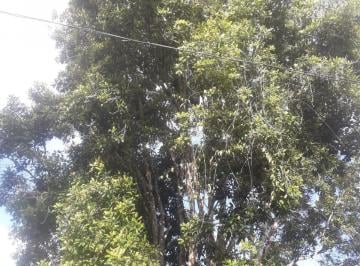 Rural , Nilo Peçanha · Fazenda em Nilo Peçanha no Sul da Bahia
