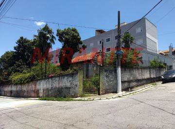 d619fbbc3a0ec82116747db0634bc42b.jpg · Terreno