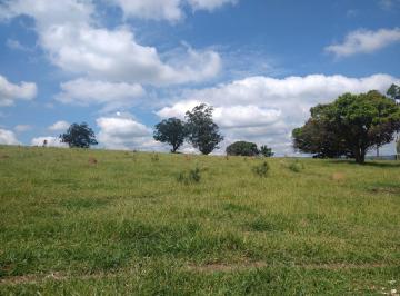 Foto 01 · Vende-se esta área com 89 mil metros em Brigadeiro Tobias