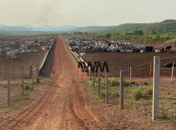 028e93875a51694c82c19aaae6ee58434f4460c2 · Fazenda à venda, 30000000 m² por R$ 71.300.000,00 - Zona Rural - Pindorama do Tocantins/TO