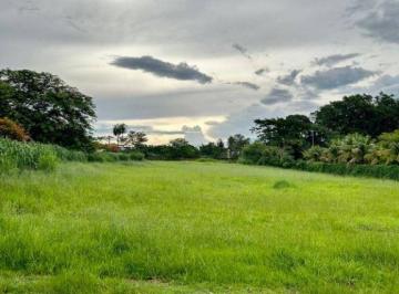 5dbbe47a30032f0da2b65935bd5adca6ea5f89e2 · Terreno à venda, 5000 m² por R$ 1.500.000,00 - Residencial Jardim das Acácias - Mirassol/SP