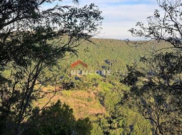 Terreno · 3800m² · Lote em  Rua Colinas - Colinas - São Francisco de Paula/RS