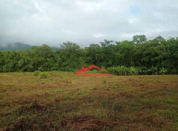 129b7253c31040d1b502b2aeac5e44c24f9942d1 · Terreno à venda, 25000 m² por R$ 850.000,00 - Centro (Pirabeiraba) - Joinville/SC