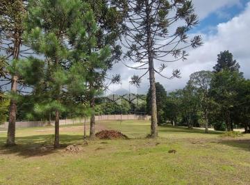 274497_i91gU44183Xf_27449763cac8c5061ed.jpg · Terreno 550,86m², em Condomínio Residencial Fechado em Canela