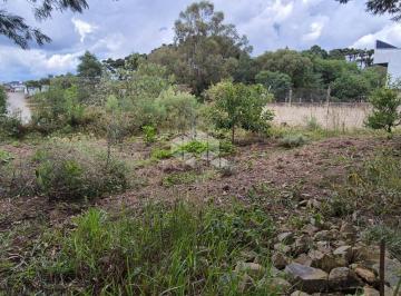 262300_iO44AnY8T7t8_262300680797e531ce8.jpg · Terreno Loteamento Primavera em Farroupilha