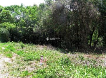 402954_iT9419J4595764q9l7_40295463e3e431e5b0a.jpg · 402954 - Terreno Cantegril