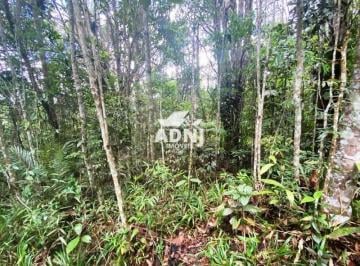 Foto 01 · Área em São Lourenço da Serra com 9 hectares