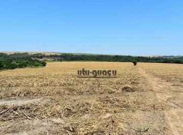 c4cb9262512ab6115da3cecd028d999ac9d06f7b · Fazenda à venda, 1597200 m² por R$ 13.200.000,00 - Bananal do Avecuia - Porto Feliz/SP