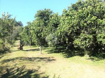 275315_iJl7e_27531563eb981774337.jpg · Terreno com 13.900m2 no Belém Novo
