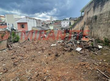 5d3c9e1ad358682bb0857f9c55376535.jpg · Terreno