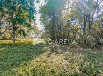 Rural · 11000m² · Chácara Urbana à venda,12000.00 m , JARDIM CONCORDIA, TOLEDO - PR