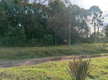 20260811154709205.jpeg · Terreno para Venda em São José dos Pinhais, Campo Largo da Roseira