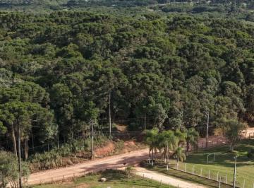 202605281434073235.jpeg · Terreno para Venda em São José dos Pinhais, Campo Largo da Roseira