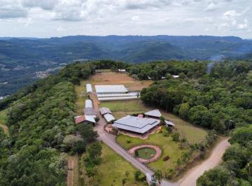 Rural , Santa Maria do Herval · Sítio com produção de morangos