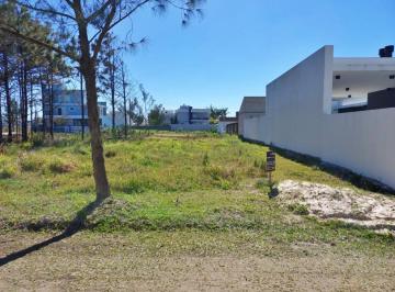 843317.jpg · Terreno - Bairro Bella Torres