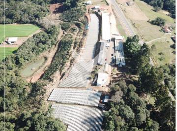 Comercial · 56144m² · Propriedade para produção de morangos