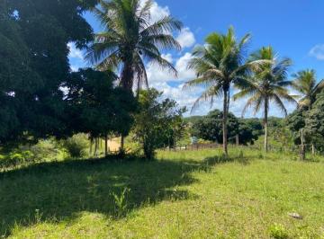 Foto 02 · Sítio à venda em Uruçuca-BA: 7 hectares no bairro Aritaguá, entre Ilhéus e Itacaré, próximo de Serra