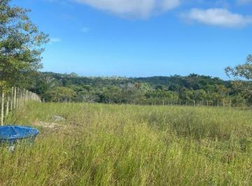 Foto 01 · Terreno de 2.520m² à venda em Serra Grande, Uruçuca-BA: próximo a cachoeira do Tijuipe e praias para