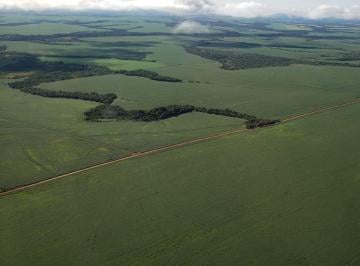 FAZENDA - ÁGUA BOA - MATO GROSSO - VENDA · Fazenda a venda, 17.000 HECTARES, Agua Boa, Mato Grosso