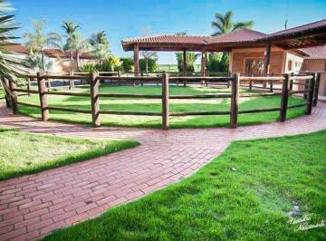 Foto 01 · Fazenda 450 Alqueires Alto Padrão, Ótima Logística, Rod Raposo Tavares, Topografia Plana, Terra de C