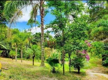 530c866dda8bd77a23a43297a942882a0cc66037 · Sítio com 4 dormitórios à venda, 59000 m² por R$ 800.000 - Morro Azul - Paraibuna/SP