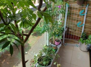 Foto 01 · APARTAMENTO NOVA ALIANÇA