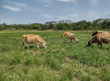 Foto 01 · Fazenda, Silva Jardim, Silva Jardim, RJ