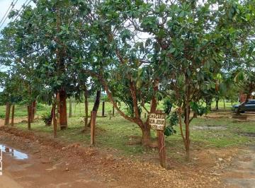 2023/03/5c0bd9cb37b355c2d1399a08a451cdc3.jpg · Vende-se  um sítio com 21 hectares