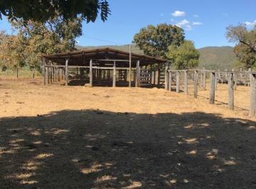 Foto 01 · Fazenda, Paranã, Formosa, GO