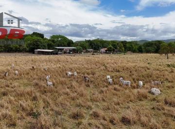 Foto 71 · Fazenda, Buritis, Buritis, MG